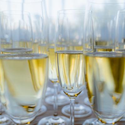 Agrofilm 2025 147 Web