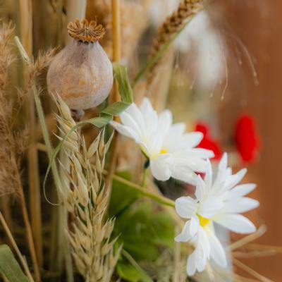 Agrofilm 2025 003 Web