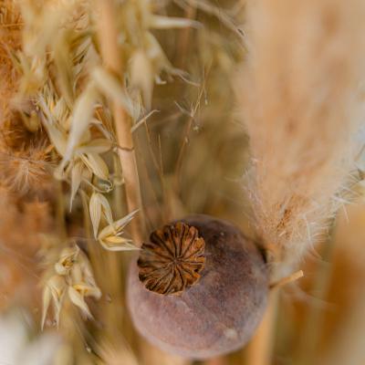 Agrofilm 2025 030 Web